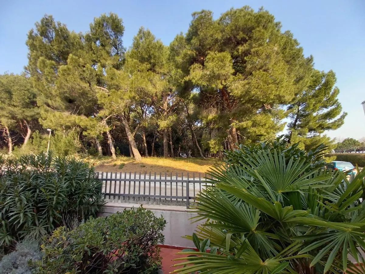 Apartments Lungo Pola